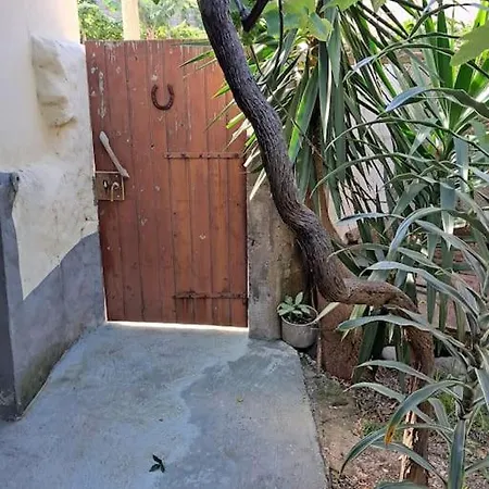 Tatil Evi Casa Vintage Madeira Seixal (Madeira)