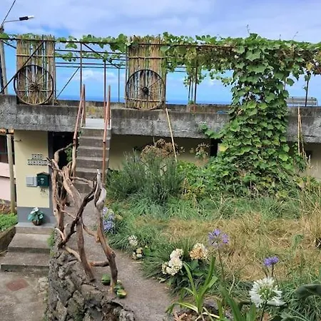 Casa Vintage Madeira *