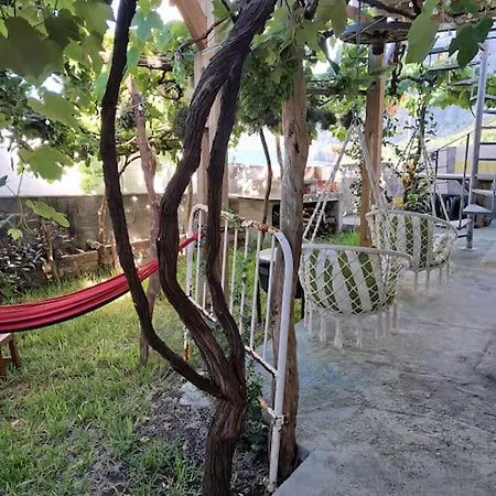 Casa Vintage Madeira *